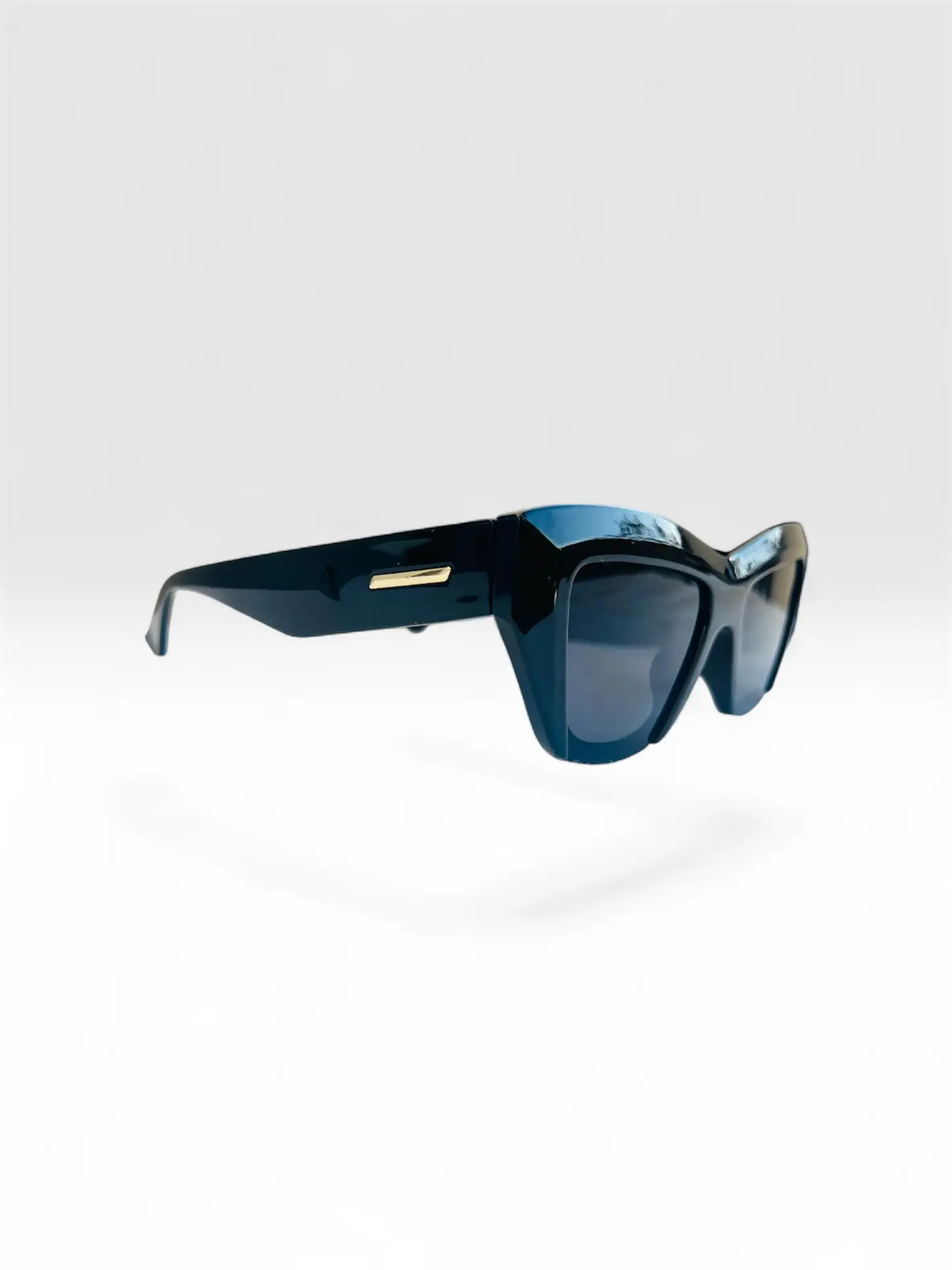 Lee Geometric Cat-Eye Sunglasses – Bold Glossy Black & Gold Accent